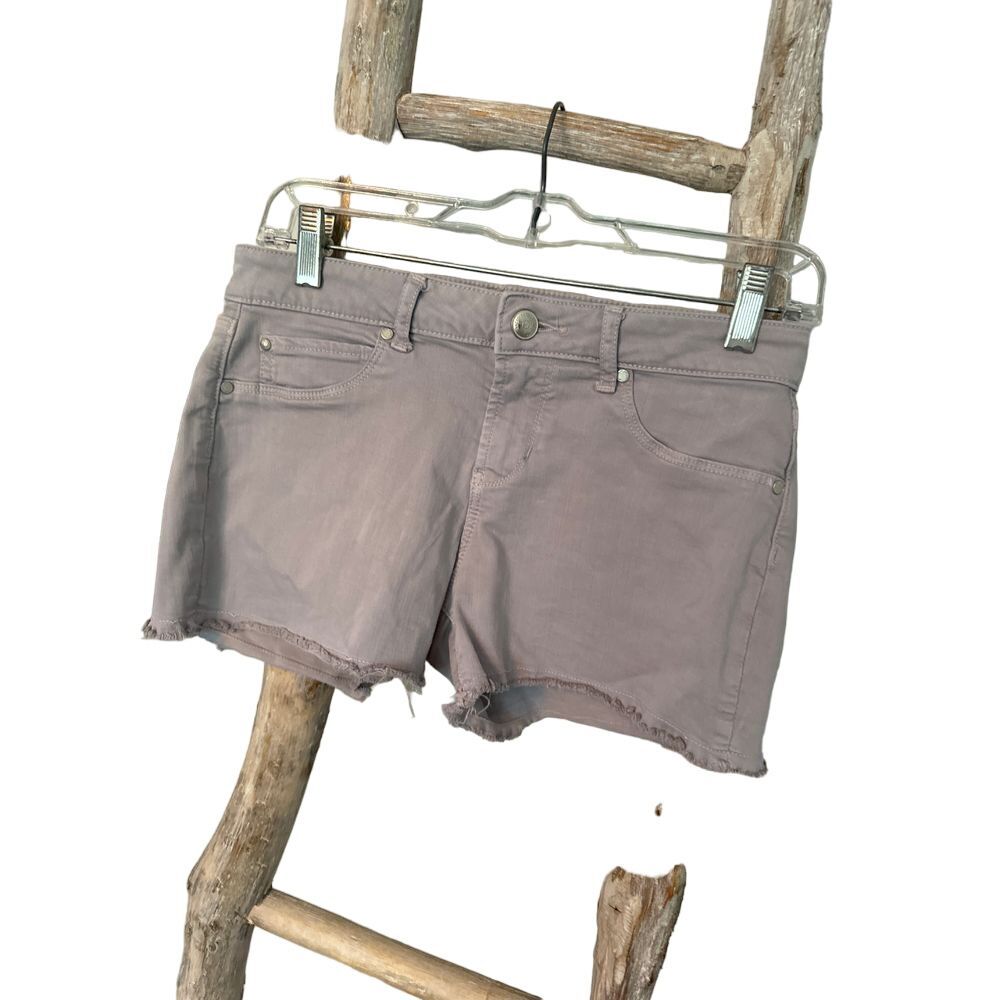 Articles of Society Grey Denim Cut-Off Shorts Frayed Hem Casual Summer Size 26